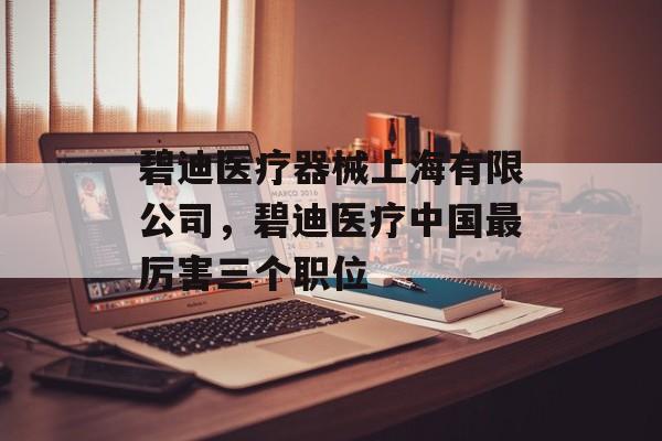 碧迪医疗器械上海有限公司，碧迪医疗中国最厉害三个职位-第1张图片-居家生活