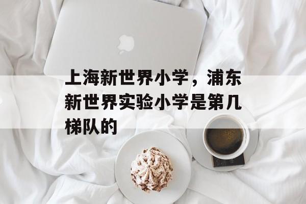 上海新世界小学，浦东新世界实验小学是第几梯队的-第1张图片-居家生活