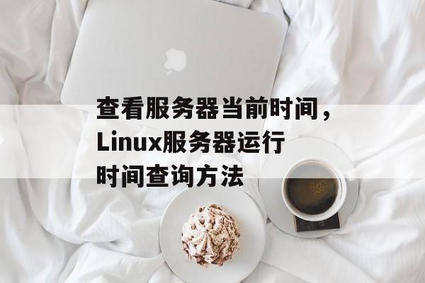 查看服务器当前时间，Linux服务器运行时间查询方法-第1张图片-居家生活