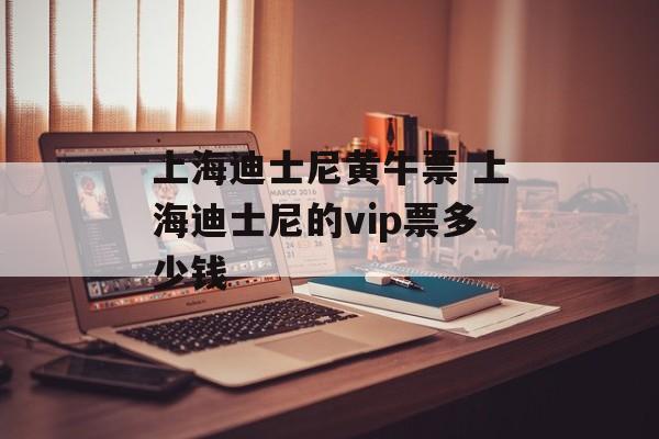 上海迪士尼黄牛票 上海迪士尼的vip票多少钱-第1张图片-居家生活