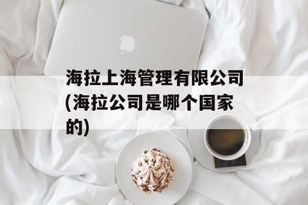 海拉上海管理有限公司(海拉公司是哪个国家的)-第1张图片-居家生活