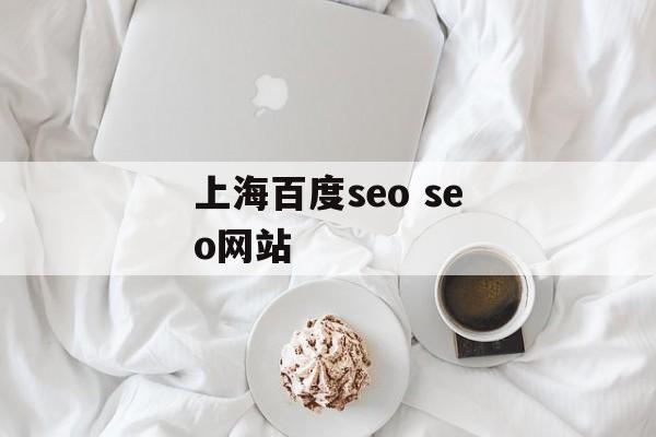 上海百度seo seo网站-第1张图片-居家生活
