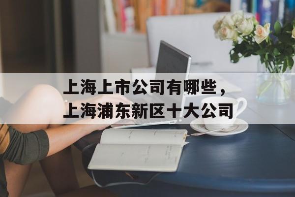 上海上市公司有哪些，上海浦东新区十大公司-第1张图片-居家生活