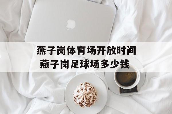 燕子岗体育场开放时间 燕子岗足球场多少钱-第1张图片-居家生活