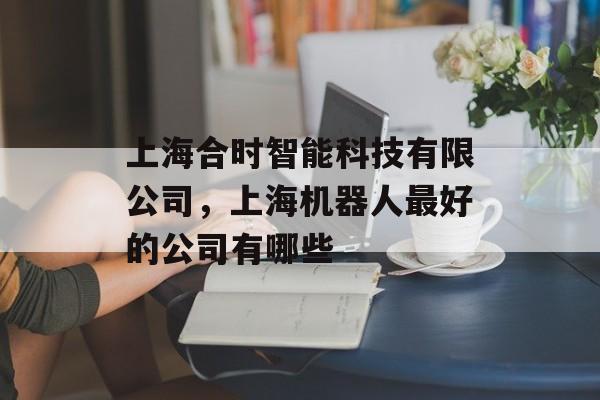 上海合时智能科技有限公司，上海机器人最好的公司有哪些-第1张图片-居家生活