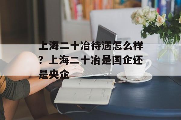 上海二十冶待遇怎么样？上海二十冶是国企还是央企-第1张图片-居家生活
