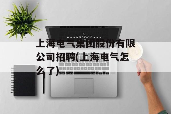 上海电气集团股份有限公司招聘(上海电气怎么了)-第1张图片-居家生活
