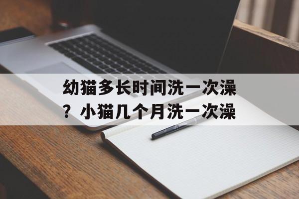 幼猫多长时间洗一次澡？小猫几个月洗一次澡-第1张图片-居家生活