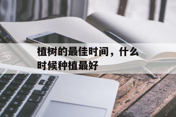 植树的最佳时间，什么时候种植最好-第1张图片-居家生活