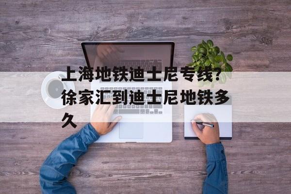 上海地铁迪士尼专线？徐家汇到迪士尼地铁多久-第1张图片-居家生活