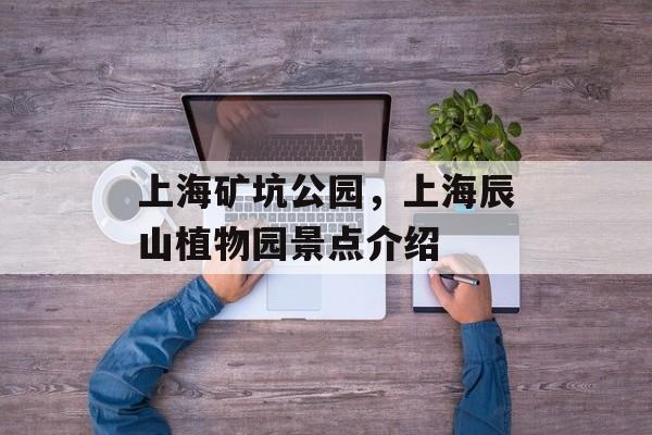 上海矿坑公园，上海辰山植物园景点介绍-第1张图片-居家生活
