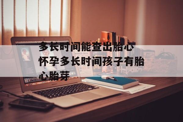 多长时间能查出胎心 怀孕多长时间孩子有胎心胎芽-第1张图片-居家生活