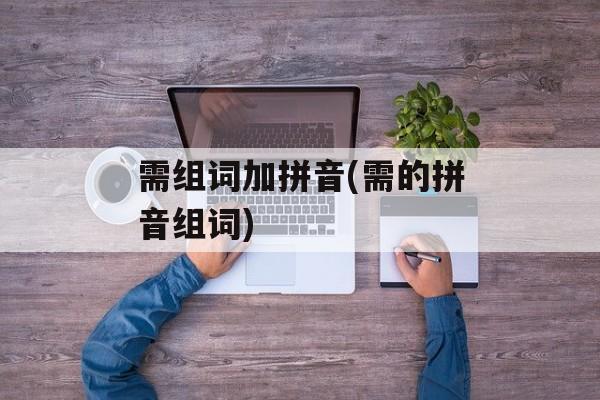 需组词加拼音(需的拼音组词)-第1张图片-居家生活