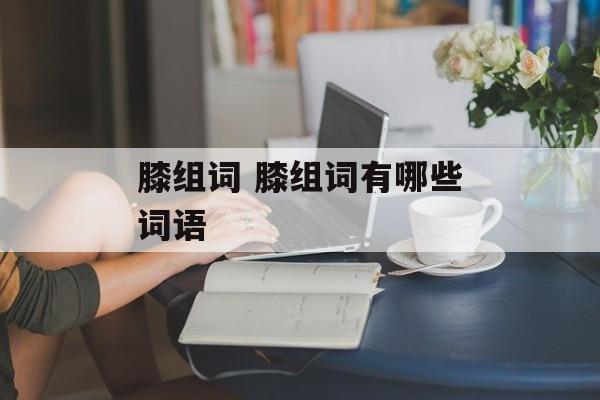 膝组词 膝组词有哪些词语-第1张图片-居家生活