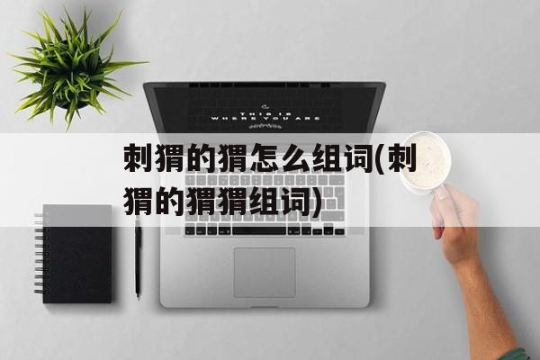 刺猬的猬怎么组词(刺猬的猬猬组词)-第1张图片-居家生活