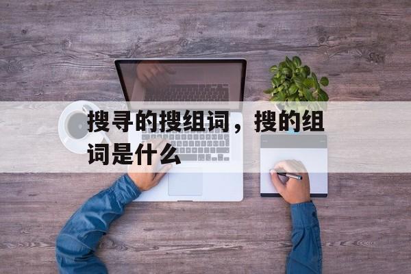 搜寻的搜组词，搜的组词是什么-第1张图片-居家生活