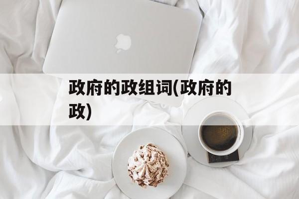 政府的政组词(政府的政)-第1张图片-居家生活