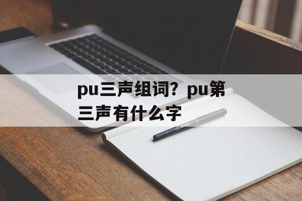 pu三声组词？pu第三声有什么字-第1张图片-居家生活