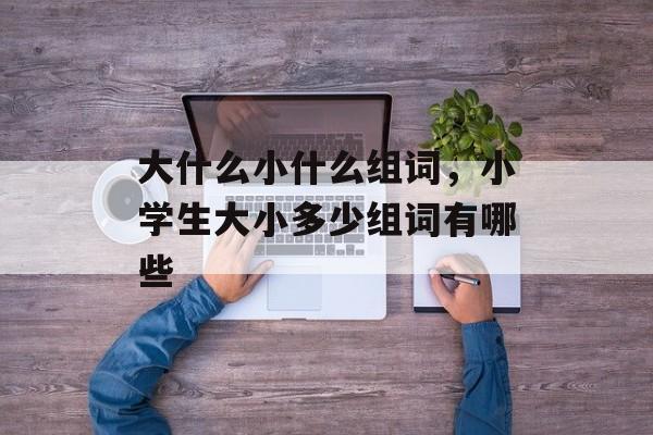 大什么小什么组词，小学生大小多少组词有哪些-第1张图片-居家生活
